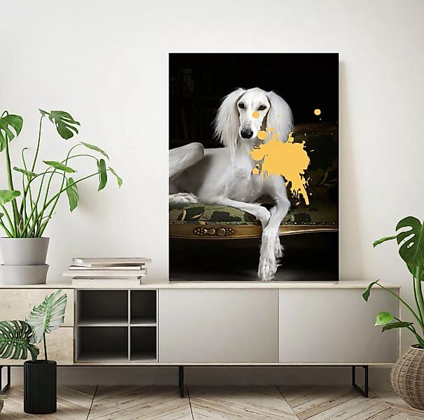 queence Acrylglasbild "Hund" günstig online kaufen