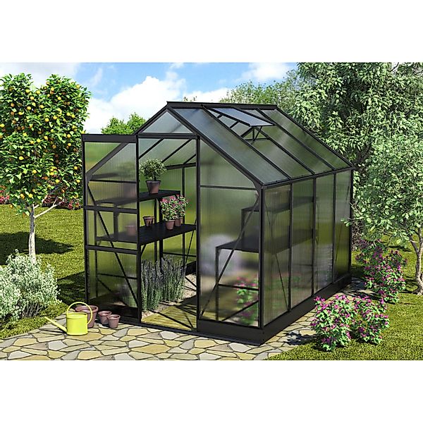 Vitavia Gewächshaus Apollo 5000 Schwarz 5 m² inkl. Fundament günstig online kaufen