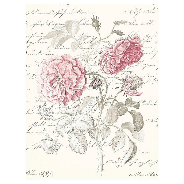 Komar Poster Poème Rose Rosen B/L: ca. 30x40 cm günstig online kaufen