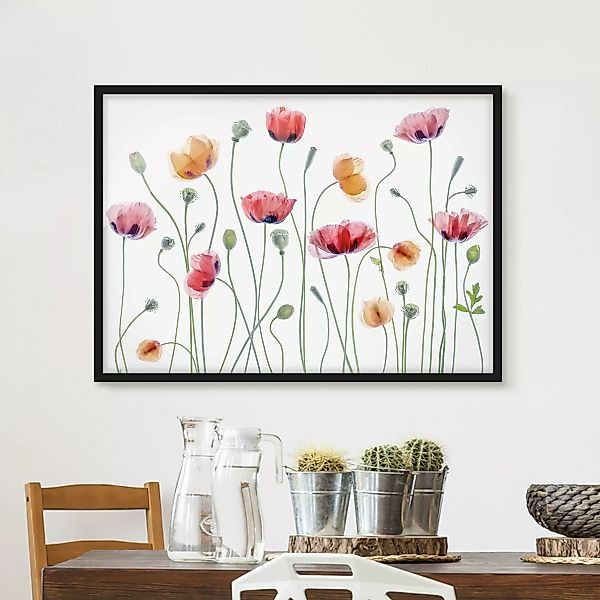 Bild mit Rahmen Blumen - Querformat Klatschmohn Party günstig online kaufen