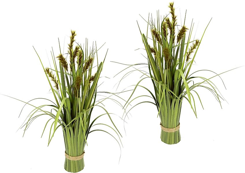 Kunstgras Grasbund Gras/Fuchsschwanzgras, I.GE.A., Höhe 43 günstig online kaufen