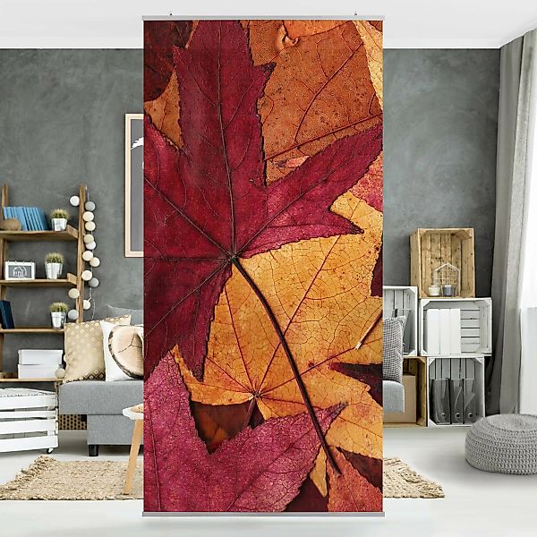 Raumteiler Coloured Leaves günstig online kaufen
