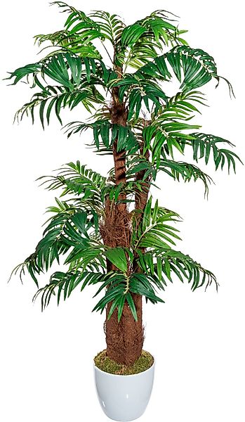 Kunstbaum Arecapalme Grünpflanze, Creativ green, Höhe günstig online kaufen