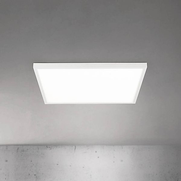 LED-Deckenlampe Disc, weiß, Länge 60 cm, CCT, Metall günstig online kaufen