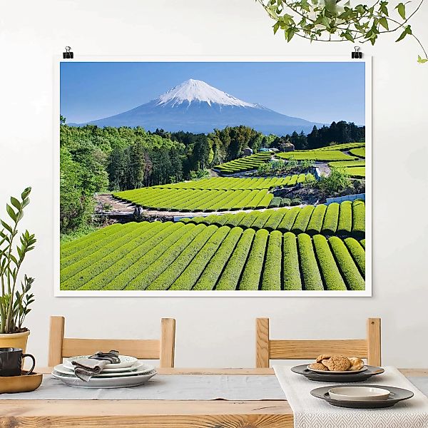 Poster Natur & Landschaft - Querformat Teefelder vor dem Fuji günstig online kaufen