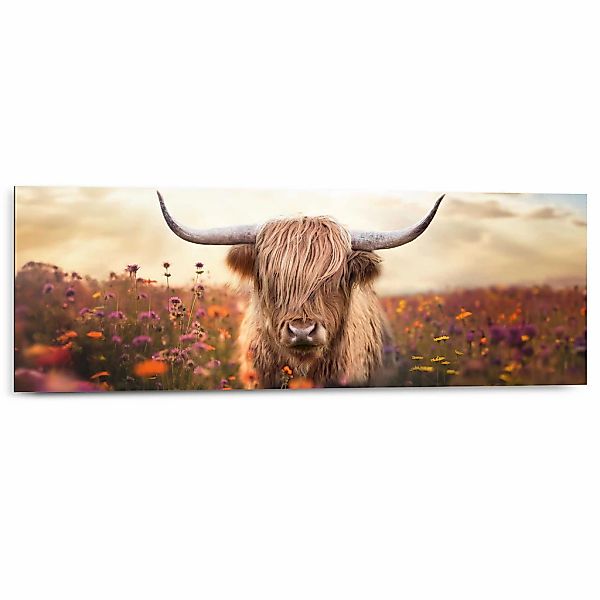 Reinders Deco-Panel "Frühlingshochländer", Wohnzimmer - Braun - MDF - Tiere günstig online kaufen