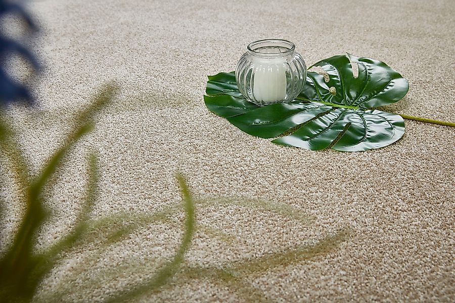 Andiamo Teppichboden "Portland, Velours, Made in Netherlands" rechteckig 11 günstig online kaufen