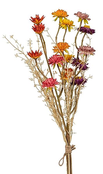 Trockenblume Orange, Durchmesser 14 cm, formano, günstig online kaufen
