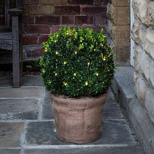 Lights4fun LED-Lichternetz 60er LED Lichternetz für Buchsbäume warmweiß günstig online kaufen