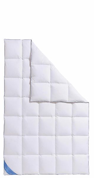 Hanse by RIBECO Daunenbettdecke »Lina«, extrawarm, Füllung 90% Daunen & 10% günstig online kaufen