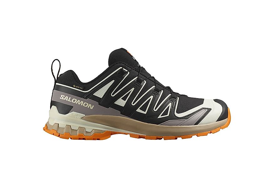 Salomon XA PRO 3D V9 GORE-TEX Laufschuh wasserdicht günstig online kaufen