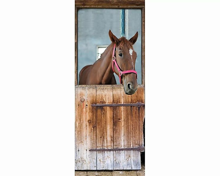 Dekopanel "Pferd Fury" 1,00x2,50 m / selbstklebende Folie günstig online kaufen