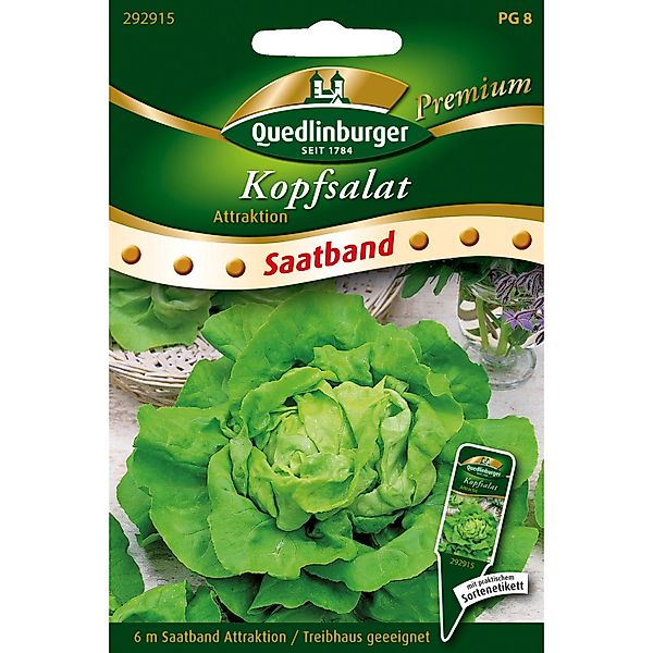 Quedlinburger Kopfsalat Attraktion Saatband günstig online kaufen