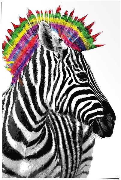 Reinders Poster "Zebra Punk", (1 St.) günstig online kaufen