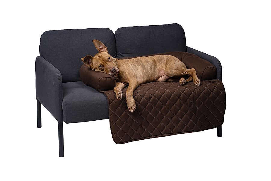 lous Hundematte Sofaschutz, Sofadecke mit Rand günstig online kaufen