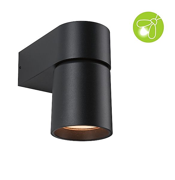 Paulmann "LED Außenwandleuchte Kimu insektenfreundlich IP44 zylindrisch 80m günstig online kaufen