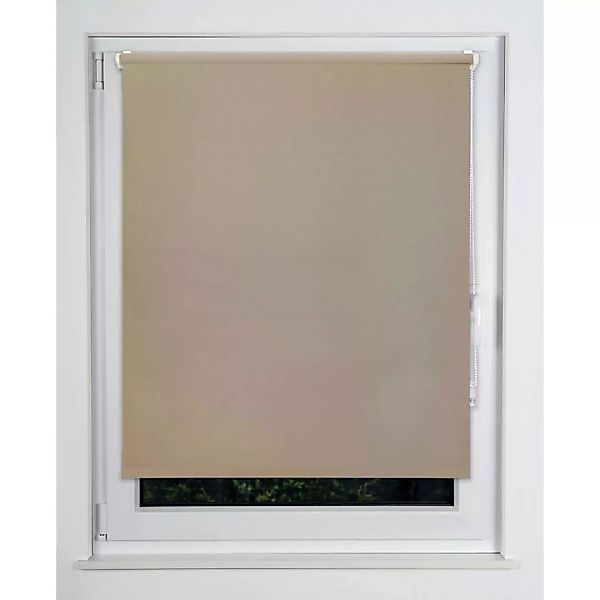 Thermorollo Win beige B/L: ca. 75x160 cm günstig online kaufen