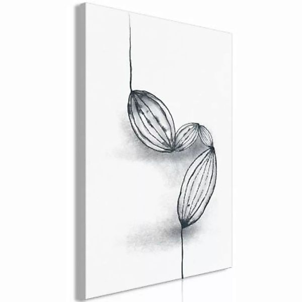 artgeist Wandbild Cocoa Beans (1 Part) Vertical schwarz/weiß Gr. 40 x 60 günstig online kaufen