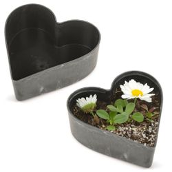 matches21 HOME & HOBBY Blumentopf Herz günstig online kaufen
