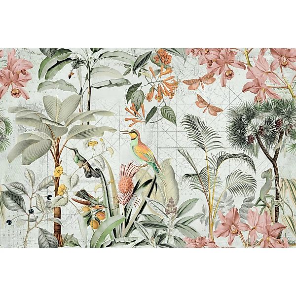 Fototapete Floral Blumen Vögel Weiß Beige Grün 4,00 m x 2,70 m FSC® günstig online kaufen