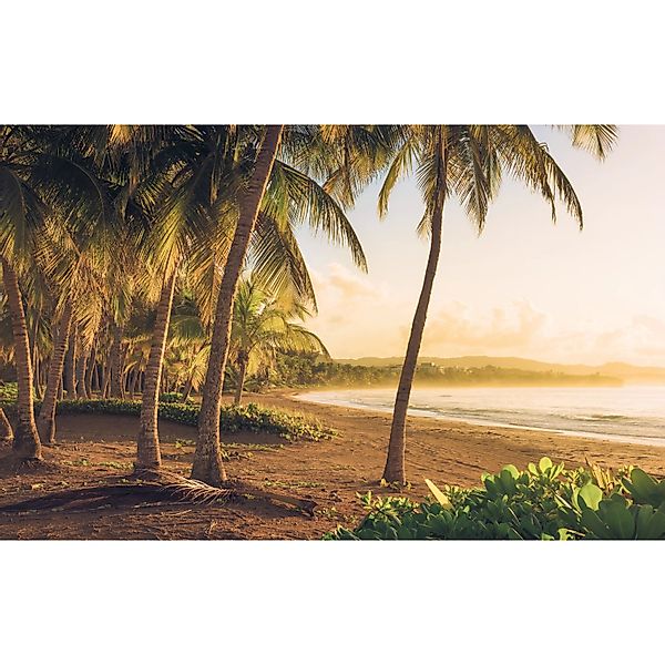 Komar Fototapete Vlies Golden Lands  400 x 250 cm günstig online kaufen