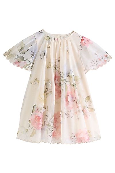Next Partykleid Mesh-Partykleid mit kurzen Ärmeln günstig online kaufen