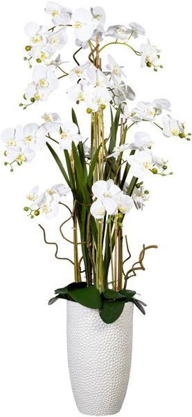 Kunstorchidee Deko-Orchidee Phalaenopsis XXL im Keramiktopf günstig online kaufen