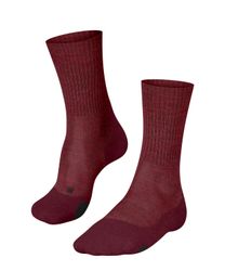 FALKE Wandersocken TK2 Explore Wool (1-Paar) günstig online kaufen