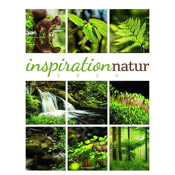 Inspiration Natur Kalender 2026 günstig online kaufen