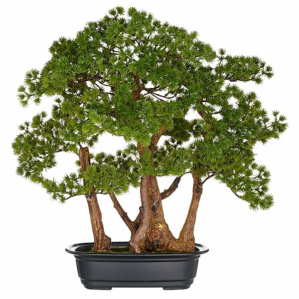 Creativ green Kunstbonsai "Bonsai Larix", mit detailgetreuer Gestaltung günstig online kaufen