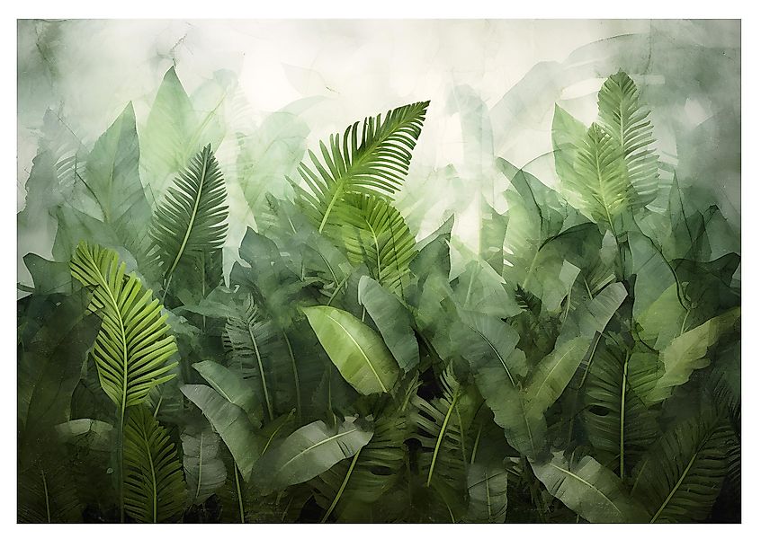 Wallarena Fototapete Blätter Aquarell Vlies Tapete günstig online kaufen