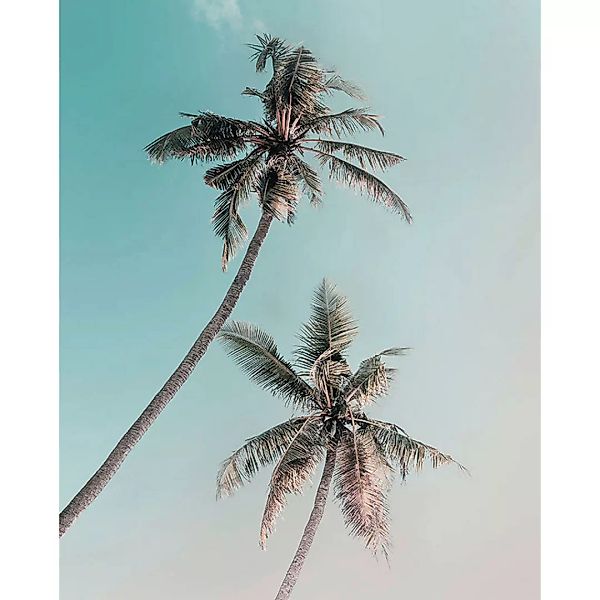 Komar Wandbild Miami Palms Palmen B/L: ca. 40x50 cm günstig online kaufen