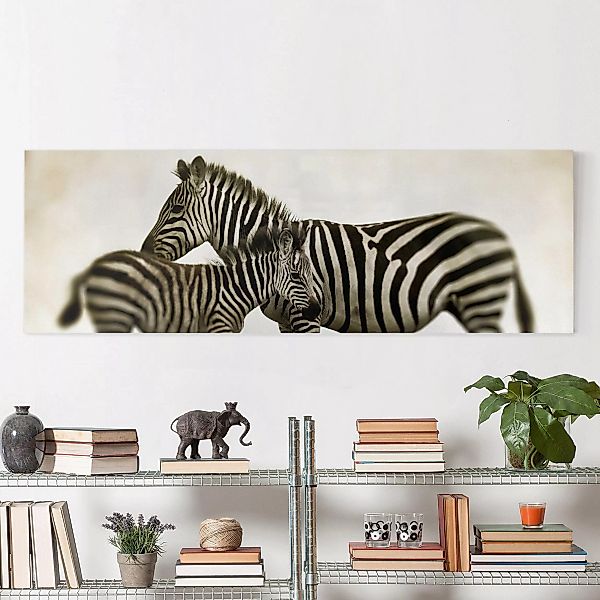 Leinwandbild Tiere - Panorama Zebrapaar günstig online kaufen