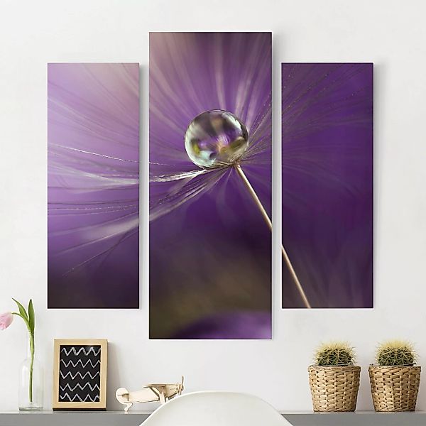 3-teiliges Leinwandbild Blumen - Querformat Pusteblume in Violett günstig online kaufen