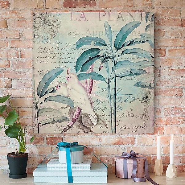 Leinwandbild Colonial Style Collage - Kakadus und Palmen günstig online kaufen