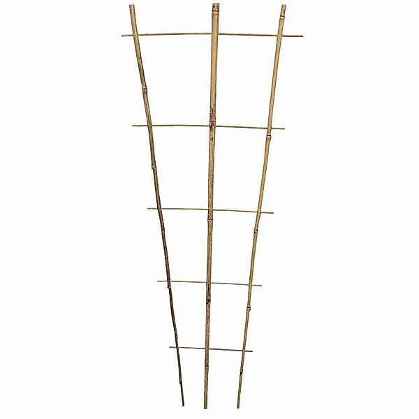 Siena Garden Rankgitter Bambus Rankgitter 85 günstig online kaufen