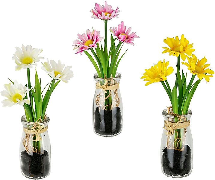 Kunstblume Margeriten, I.GE.A., Höhe 21 cm, Künstliche Mini-Margeriten im G günstig online kaufen