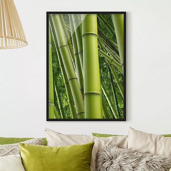 Bild mit Rahmen Natur & Landschaft - Hochformat Bamboo Trees No.2 günstig online kaufen