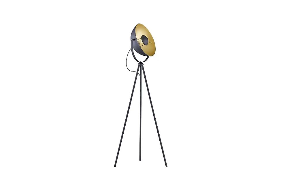 Stehleuchte   ¦ schwarz ¦ Maße (cm): H: 160  Ø: 40 Lampen & Leuchten > Steh günstig online kaufen