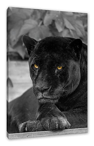 Pixxprint Leinwandbild schwarzer Panther, schwarzer Panther günstig online kaufen