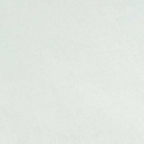 A.S. Creation Vliestapete Uni 10,05 m x 0,53 m Mint FSC® günstig online kaufen