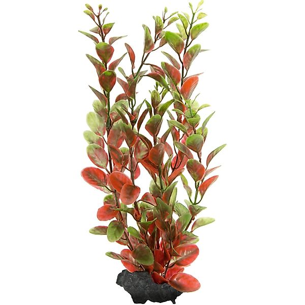 Tetra Kunstpflanze DecoArt Plant M Red Ludwigia günstig online kaufen