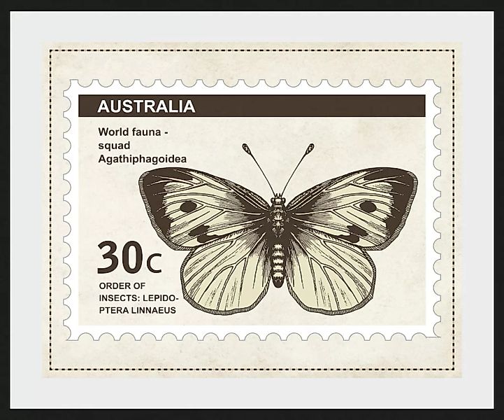 queence Bild »30c«, Schmetterlinge, (1 St.) günstig online kaufen