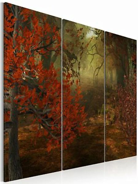 artgeist Wandbild Hain - Triptychon mehrfarbig Gr. 60 x 40 günstig online kaufen