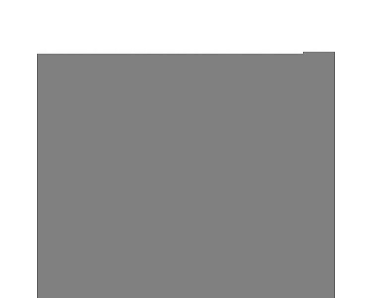 Keen NXIS EVO MID WP Wanderschuh günstig online kaufen