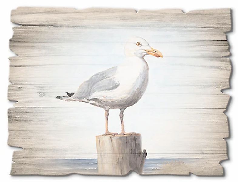 Artland Holzbild "Möwe", Vögel, (1 St.) günstig online kaufen