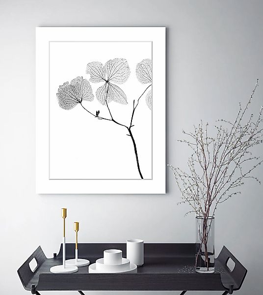 queence Bild »Kaja«, Blumen, Blumen, gerahmt günstig online kaufen