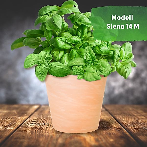 LENI Blumentopf Siena Terrakotta matt rund günstig online kaufen