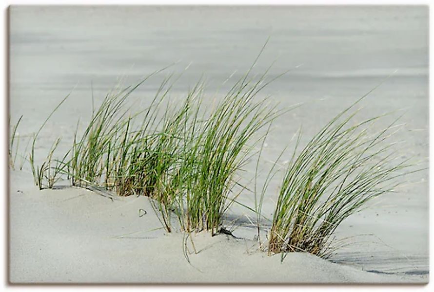 Artland Leinwandbild »Gräser am Strand« Strandbilder 1 Stk. tlg. auf Keilra günstig online kaufen