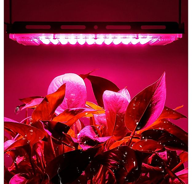 Qualra Pflanzenlampe LED Pflanzenlampe 50/100W Vollspektrum 50/96LEDs für Z günstig online kaufen